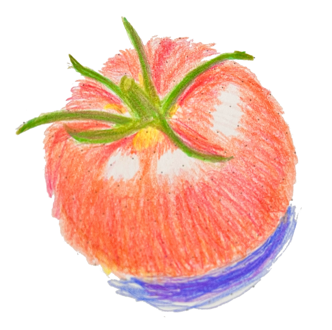 Tomato February 2026
